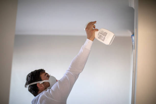 Best Commercial Mold Removal  in Rose Hills, CA