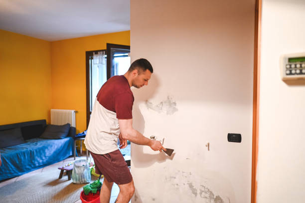Best Mold Damage Repair  in Rose Hills, CA