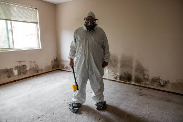 Best Mold Removal and Inspection  in Rose Hills, CA